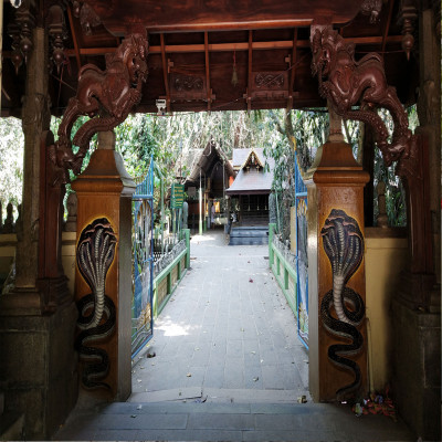 Mannarasala Ayilyam Tours